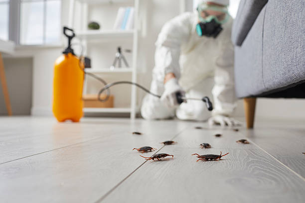 Trusted Termite Control service in Imlay City, MI - Nex Pest Control